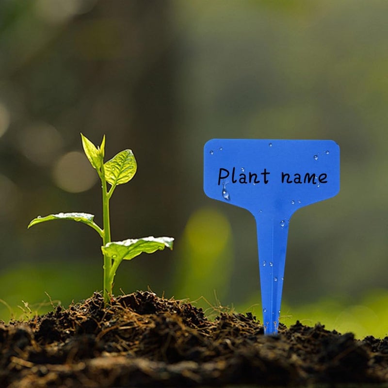Bluckincle 200pcs Plant Labels, Tags, and Markers - Garden Labels Outdoor Waterproof - Plastic Labels for Seedlings, Name Tags, Gardening Supplies, Greenhouse Accessories, Plant Nursery - Image 3